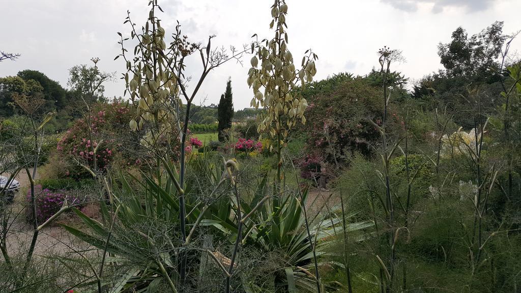 Manoir De La Branche Bed and Breakfast Maen Roch Εξωτερικό φωτογραφία